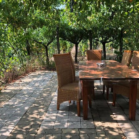 Szendergő - Apartman Hajós pincefalu Exterior foto